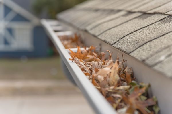 Leaf Barrier Installation in Panama City Beach